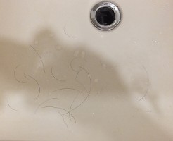 洗面所で髪をドライヤーで乾かしている時に落ちてくる抜け毛