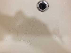 洗面所で髪をドライヤーで乾かしている時に落ちてくる抜け毛