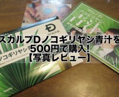 スカルプDノコギリヤシ青汁を500円で購入!【写真レビュー】