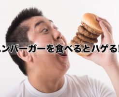 ハンバーガーを食べるとハゲる！？